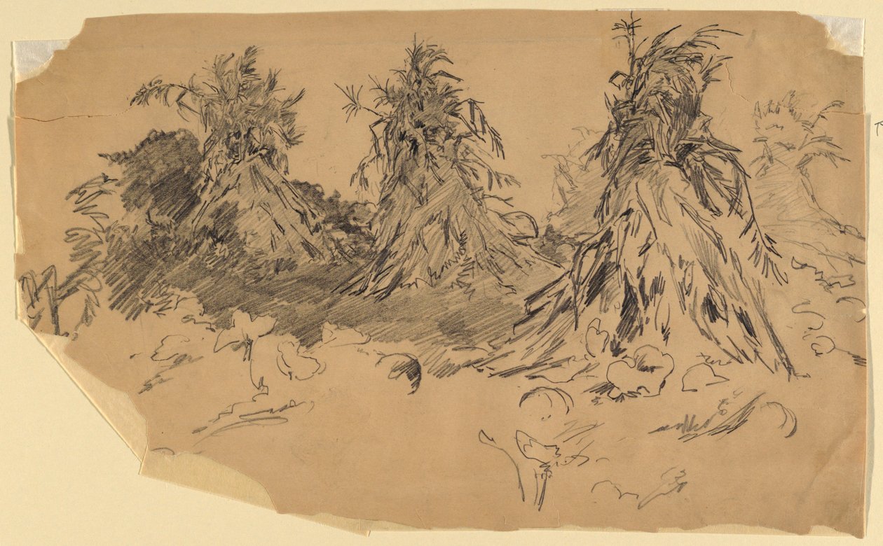 Steli di mais da Walter Shirlaw