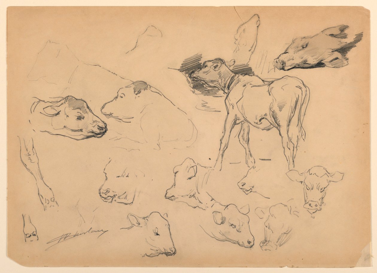 Studi di bovini, teste di pecore e un maiale da Walter Shirlaw