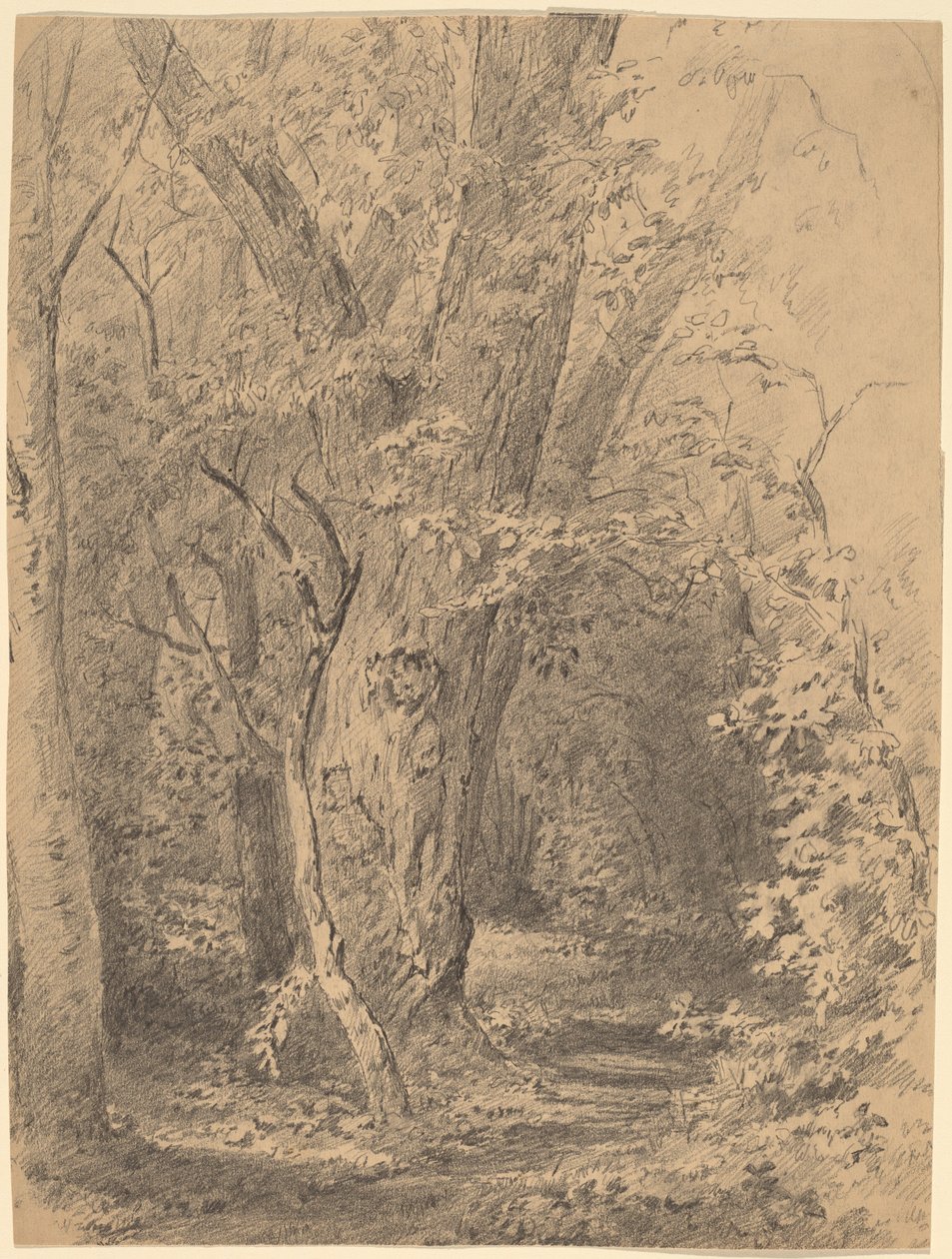Albero e Foliage da Walter Shirlaw