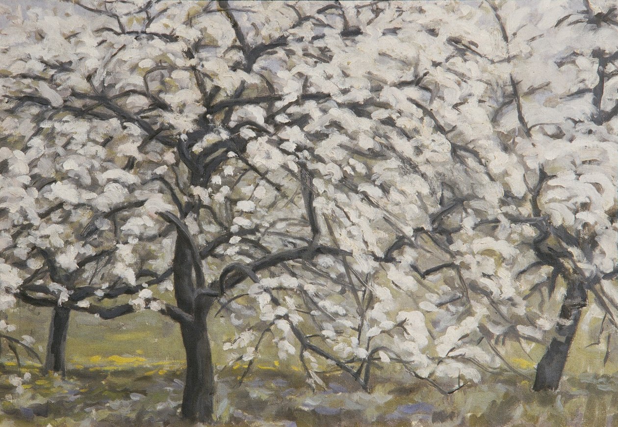Alberi da frutto in fiore da Walther Gamerith