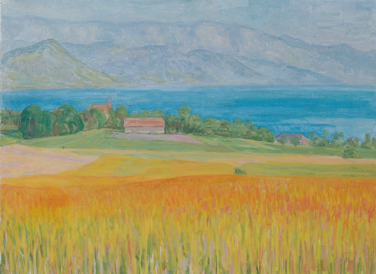 Campo di grano al lago Attersee da Walther Gamerith