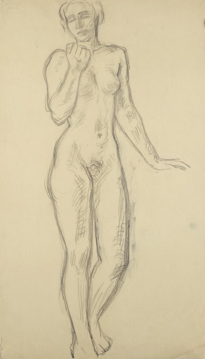 Nudo femminile in piedi da Walther Gamerith