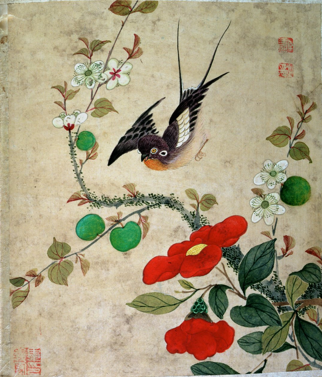 Uno di una serie di dipinti di uccelli e frutta, fine XIX secolo da Wang Guochen
