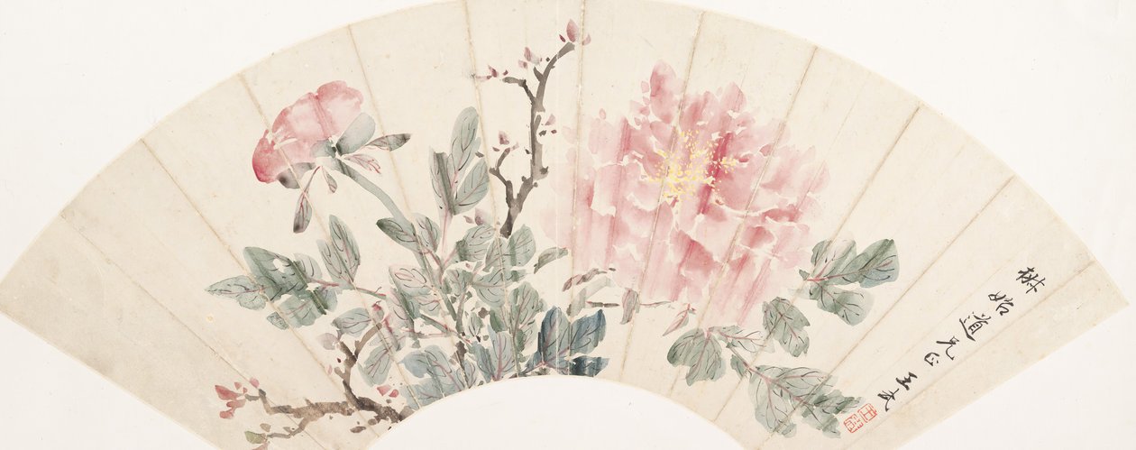 Peonia da Wang Wu