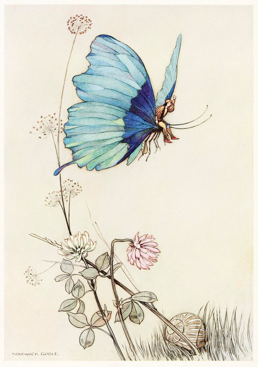 La farfalla prese il volo e si alzò in aria con il piccolo Tom sulla schiena, dal Libro delle Fate da Warwick Goble