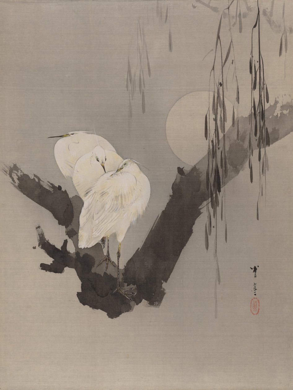 Aironi in un albero di notte, ca. 1887 da Watanabe Seitei