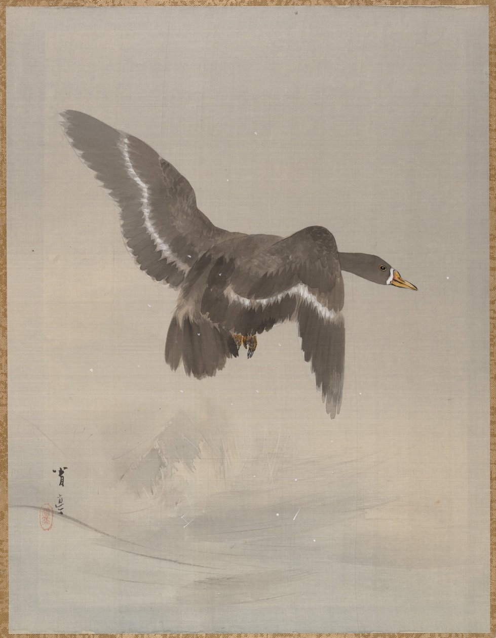 Oca volante, ca. 1887 da Watanabe Seitei