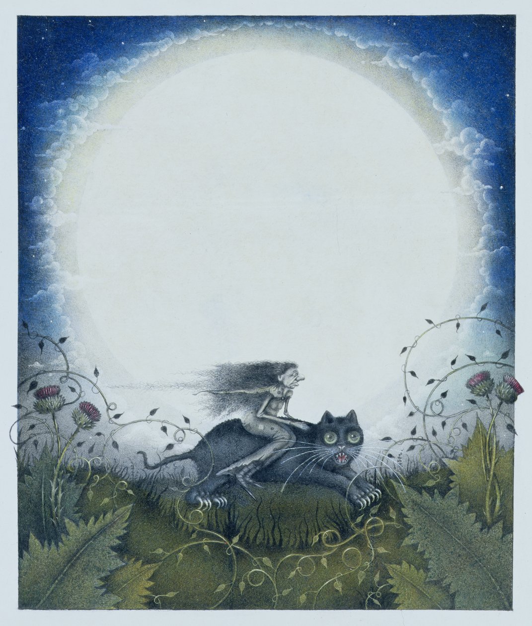 Strega scozzese su gatto nero (matita e pastello colorato su carta) da Wayne Anderson