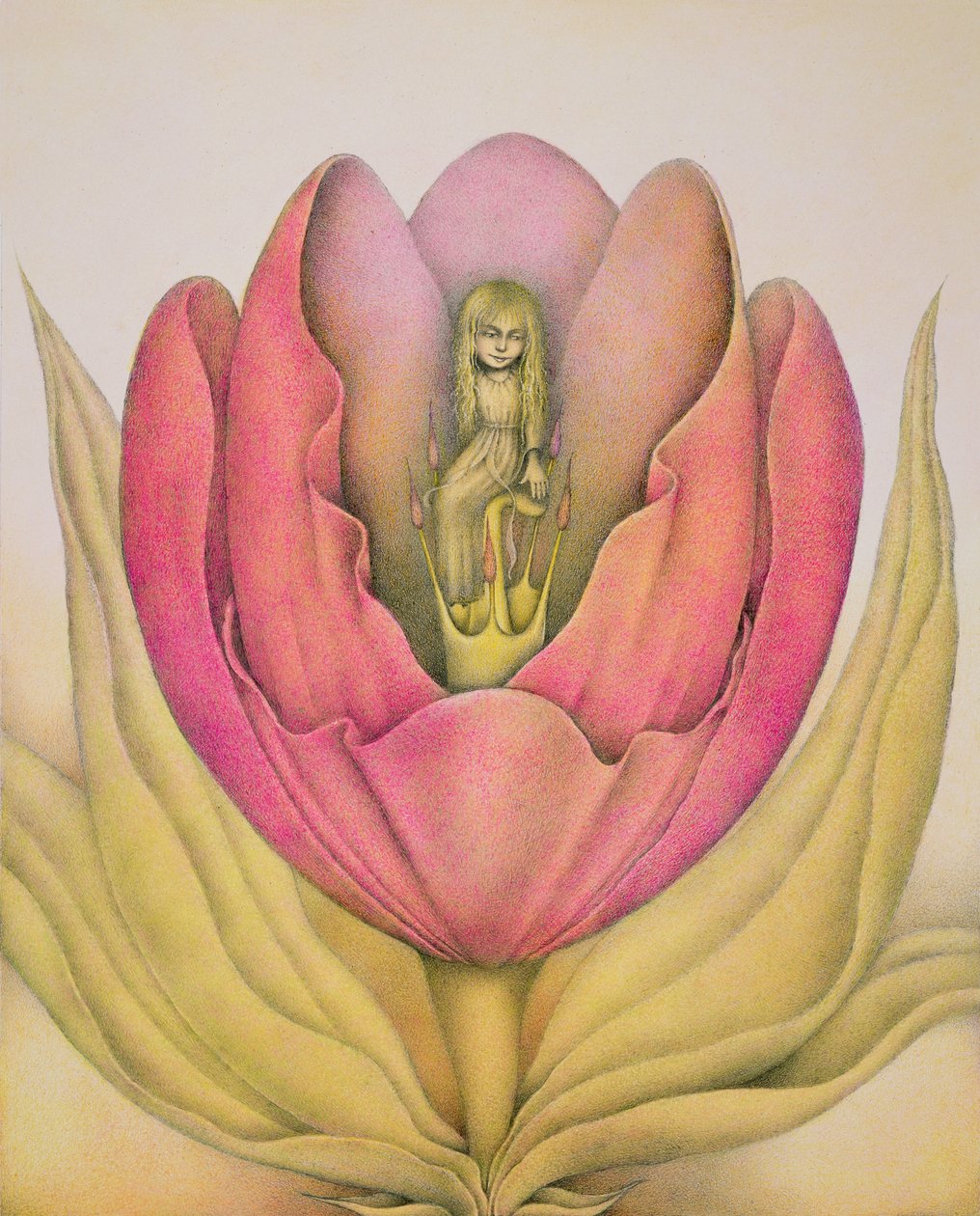 Il tulipano si apre con uno schiocco da Wayne Anderson