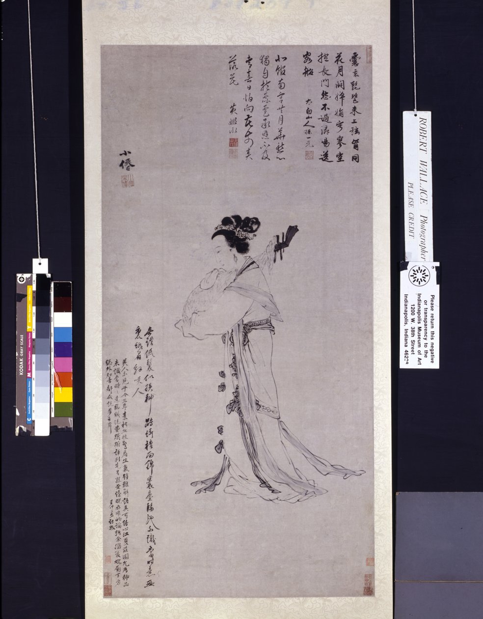 Signora con un liuto da Wei Wu
