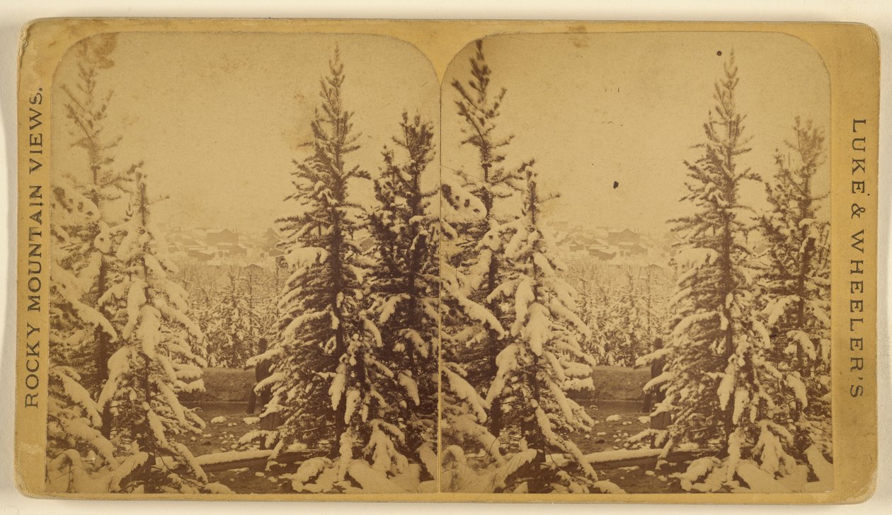 [Alberi innevati, Leadville, Colorado]. da Wellington O. Luke and Dansford Noble Wheeler