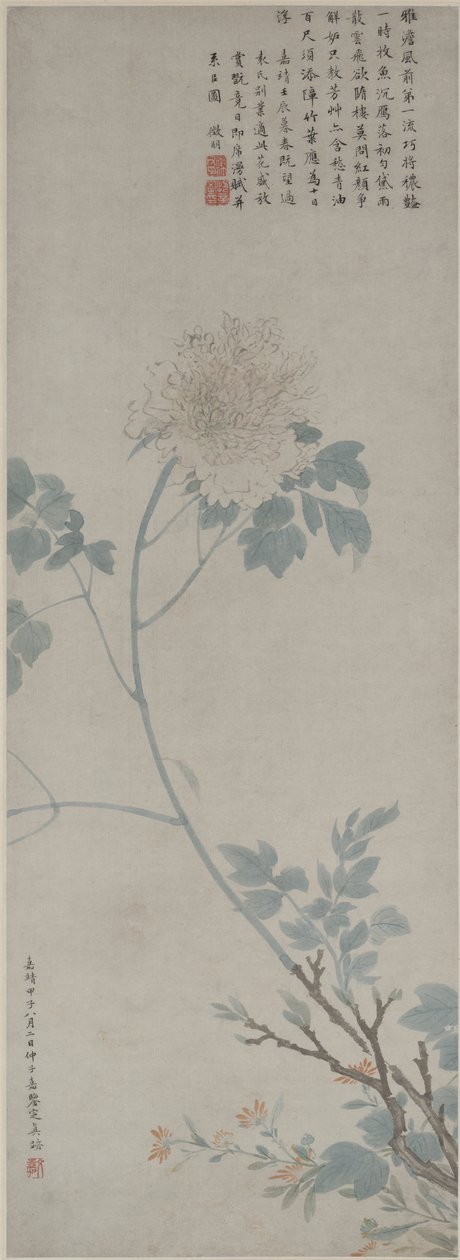 Peonia, rotolo appeso, 1532 da Wen Zhengming