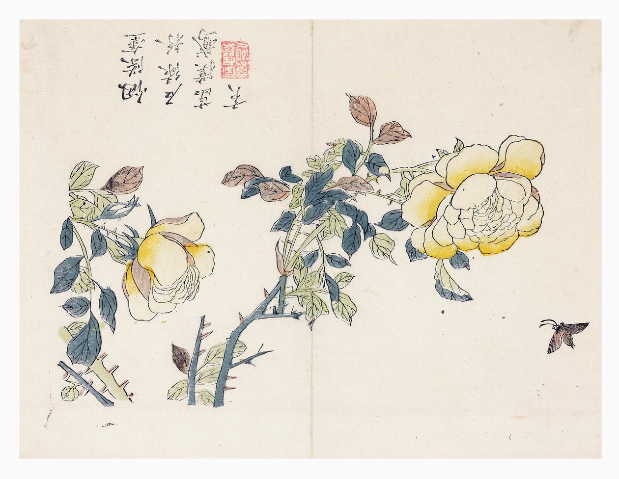 Giardino del seme di senape da Wen shu Chao