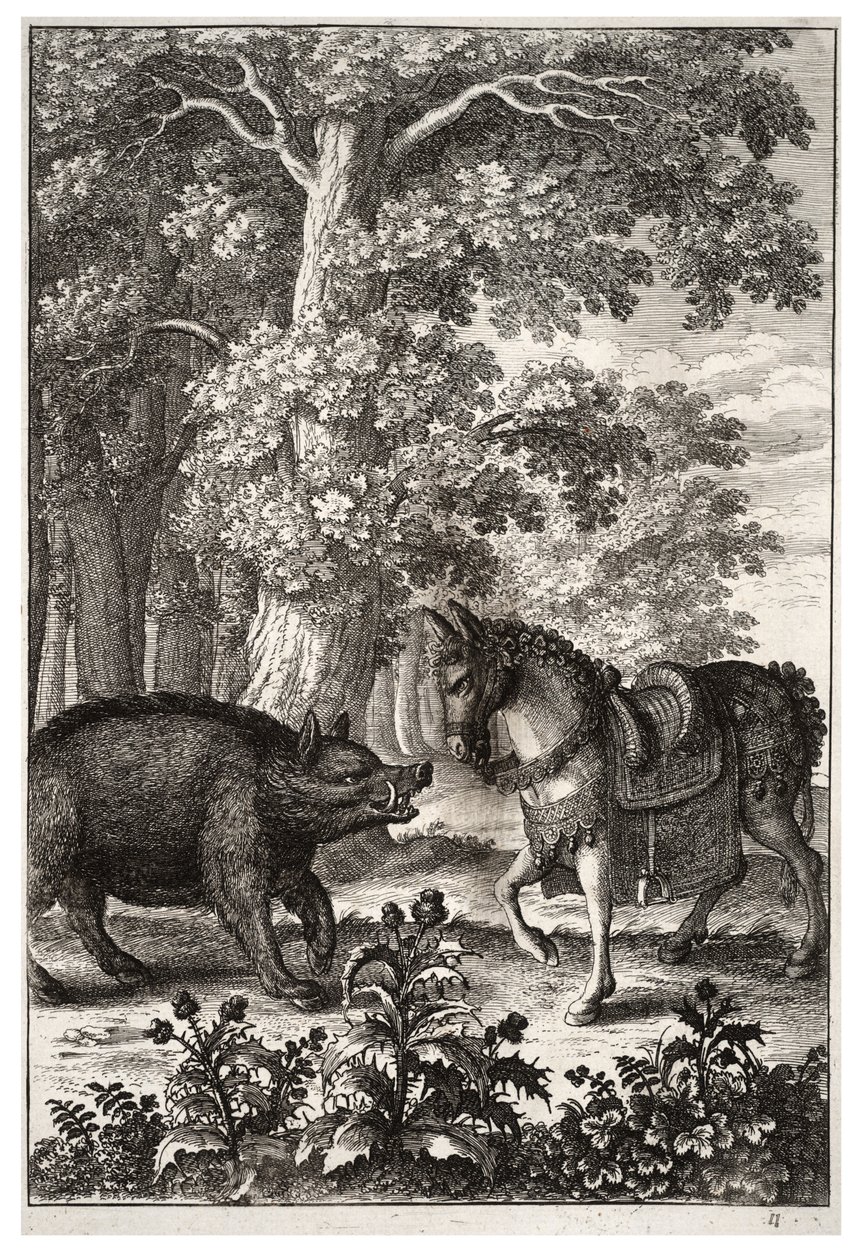 Cinghiale e asino da Wenceslaus Hollar