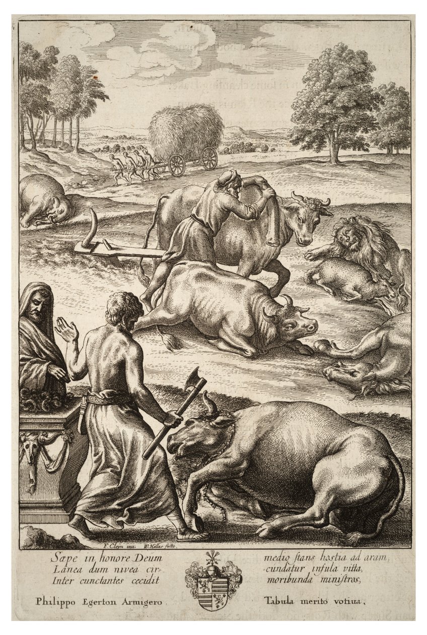 Peste bovina. Stato 2 da Wenceslaus Hollar