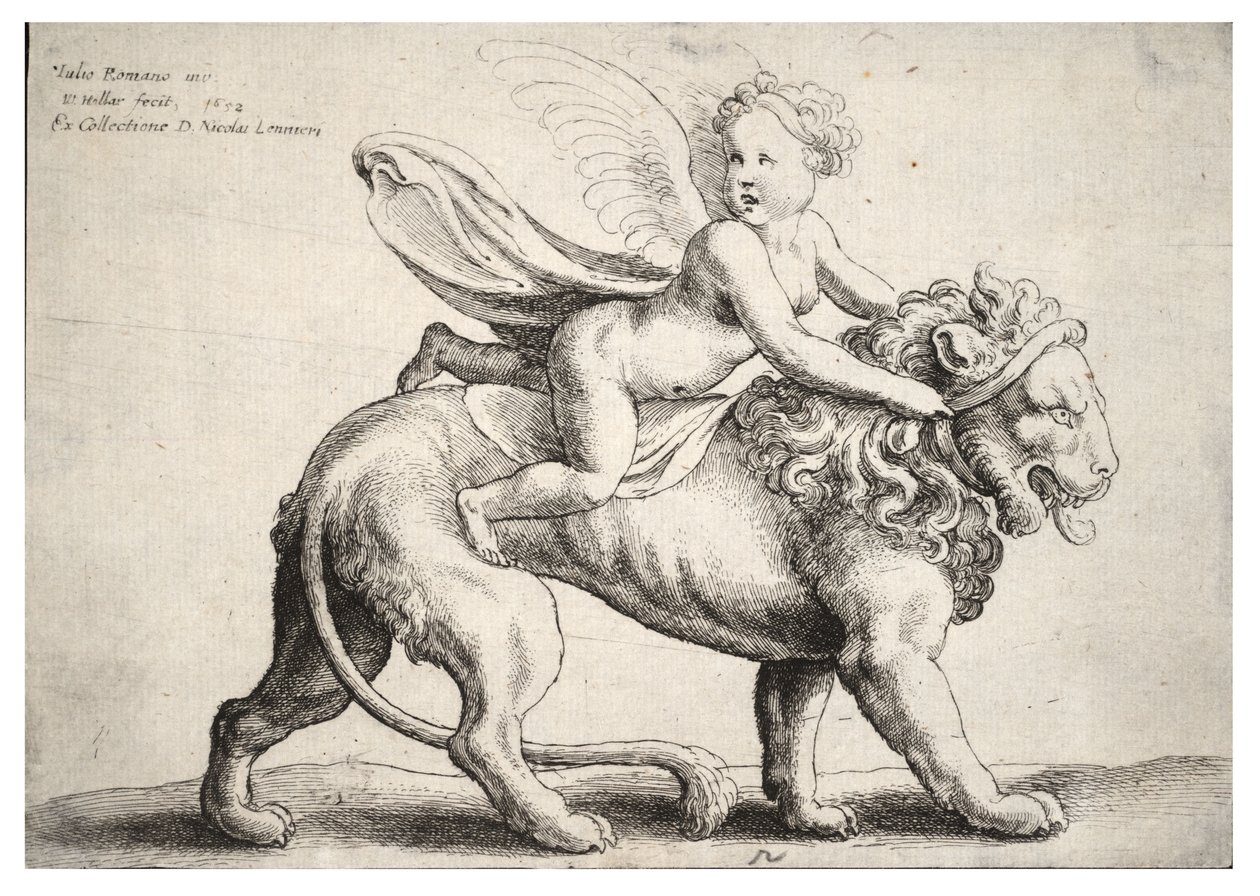 Cupido su un leone, dopo Giulio Romano da Wenceslaus Hollar