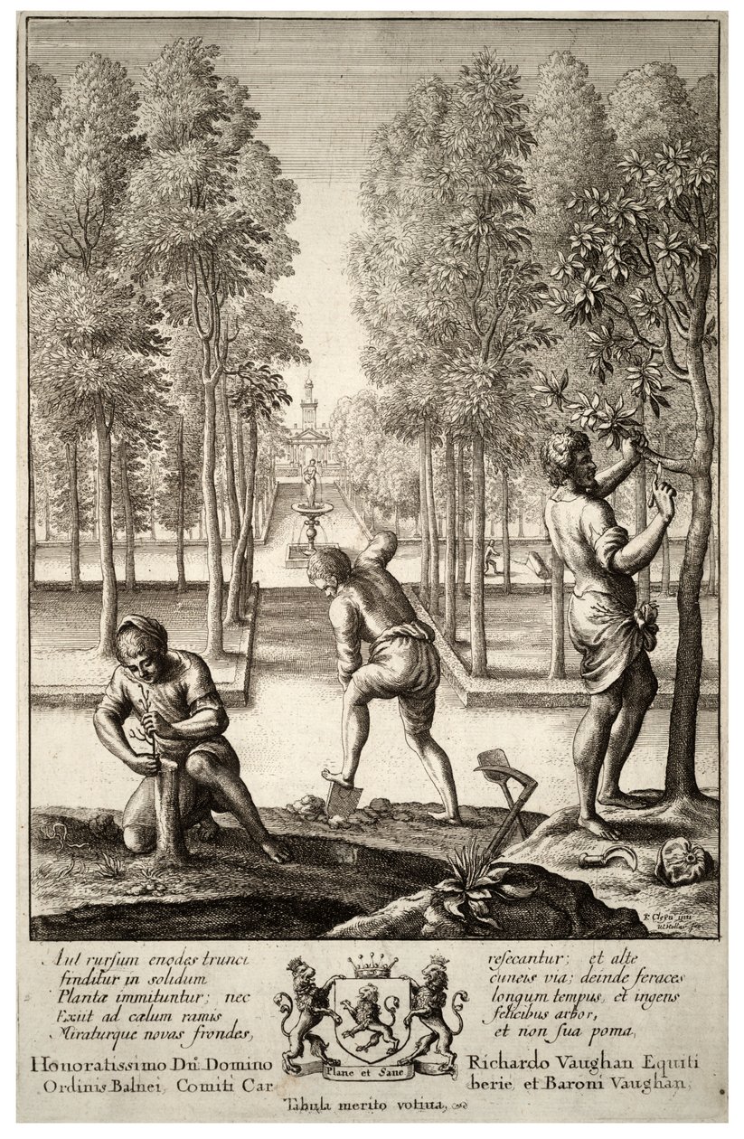 Giardinaggio. Stato 1 da Wenceslaus Hollar