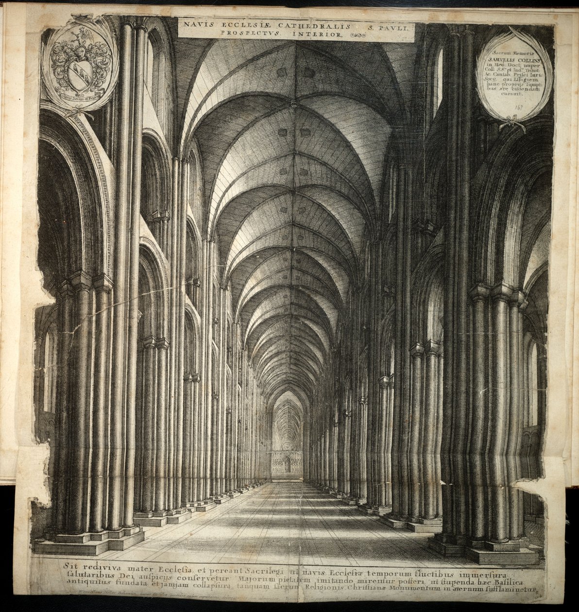 San Paolo. La navata. Stato 1 da Wenceslaus Hollar