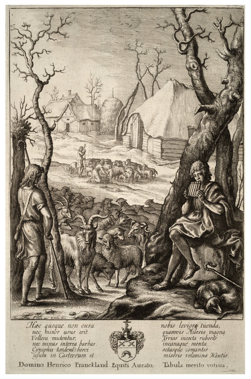 Allevamento di bestiame. Stato 1 da Wenceslaus Hollar