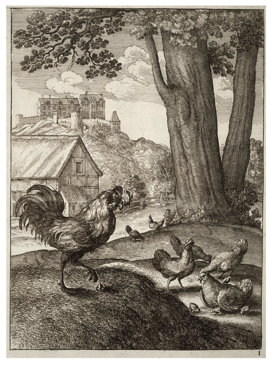 Il gallo e il gioiello da Wenceslaus Hollar