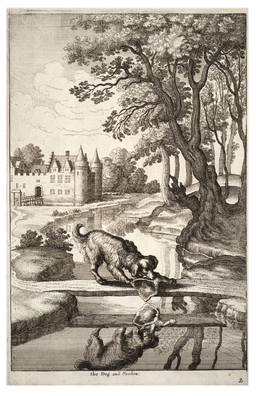 Il cane e il suo riflesso da Wenceslaus Hollar