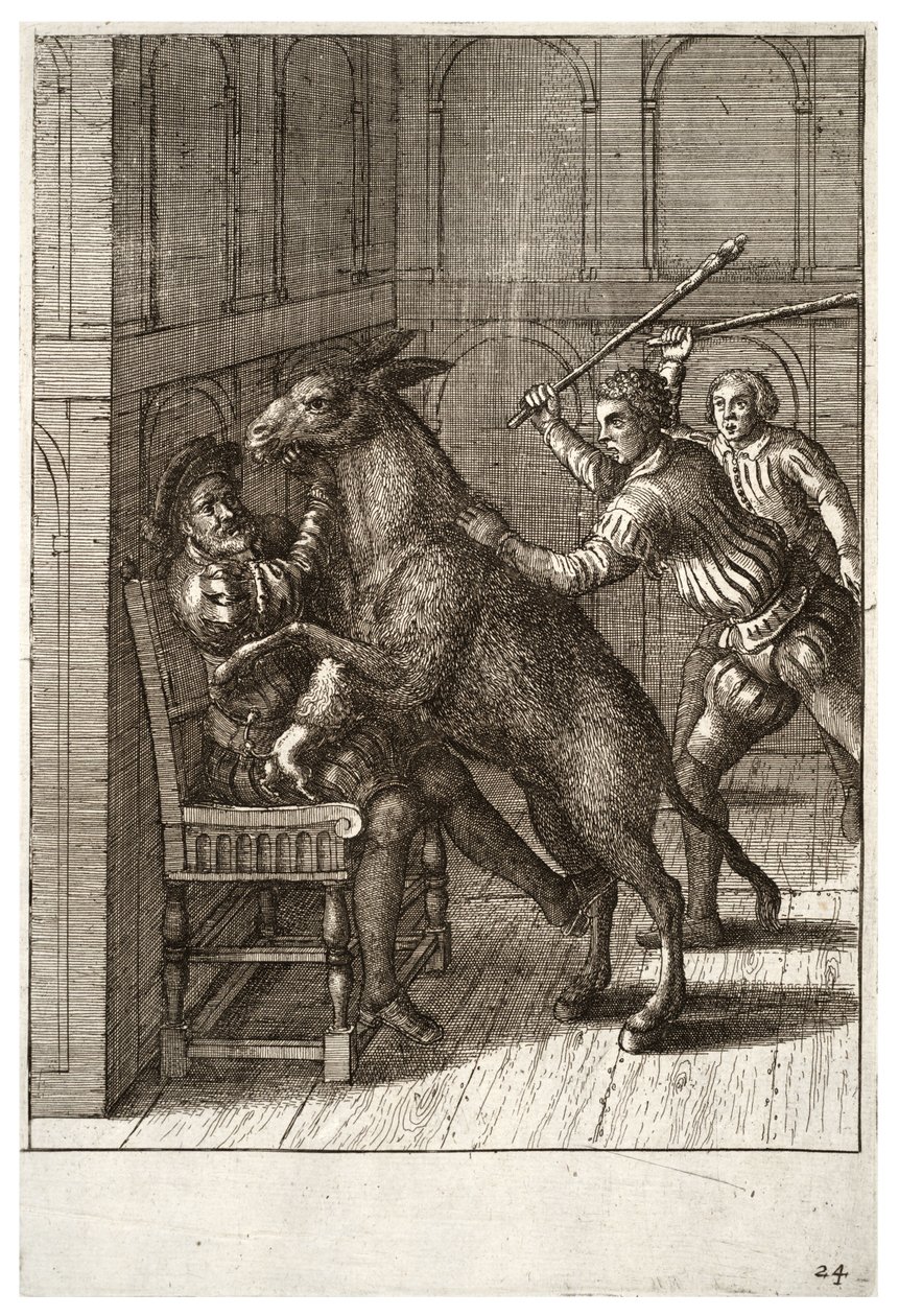 Il cane e l