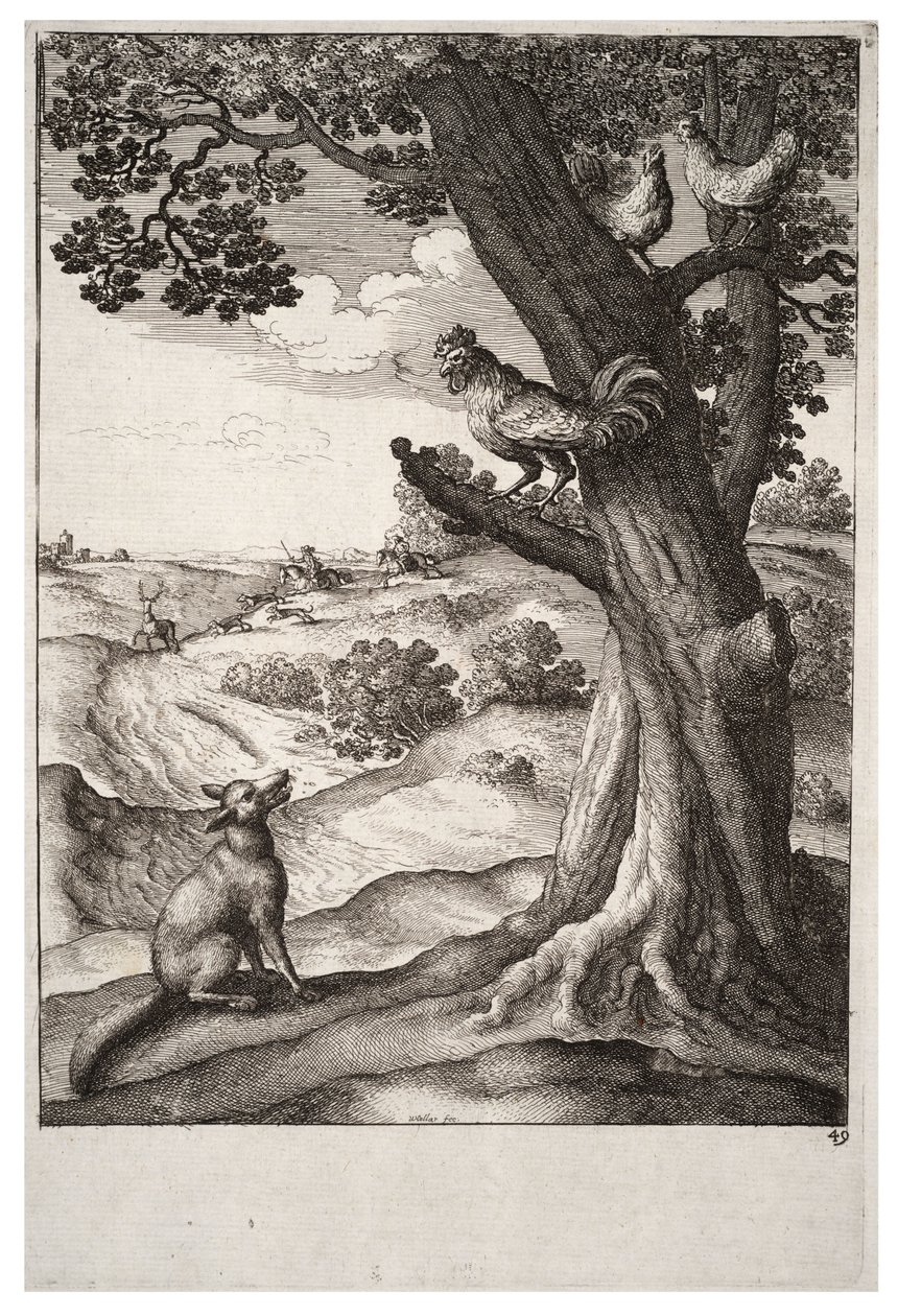 La volpe e il gallo da Wenceslaus Hollar