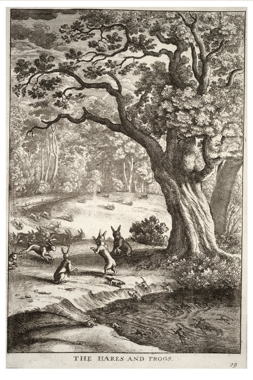 Le lepri e le rane da Wenceslaus Hollar