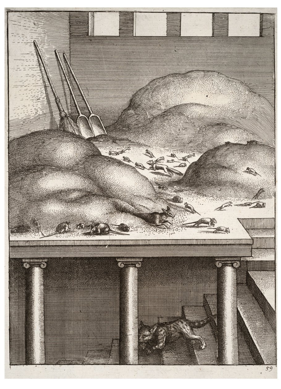 Il vecchio furetto e i topi da Wenceslaus Hollar