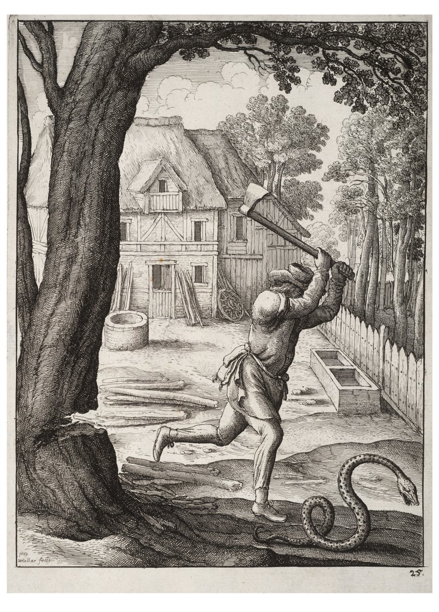 Il contadino e il serpente da Wenceslaus Hollar