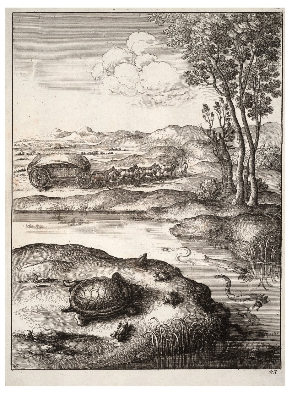 La tartaruga e le rane da Wenceslaus Hollar