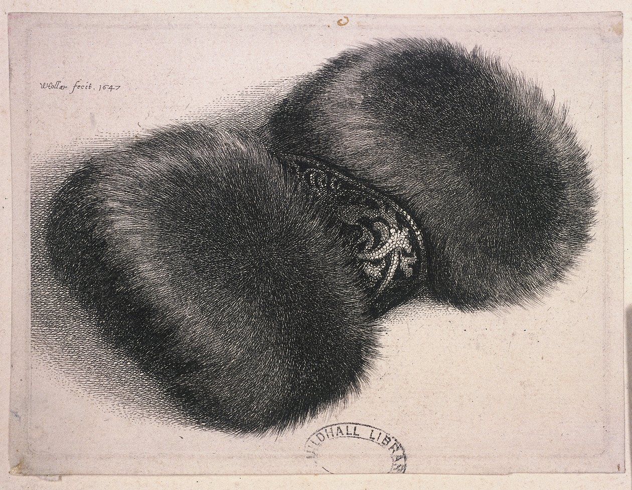 Un grande manicotto con una fascia di broccato, 1647 da Wenceslaus Hollar