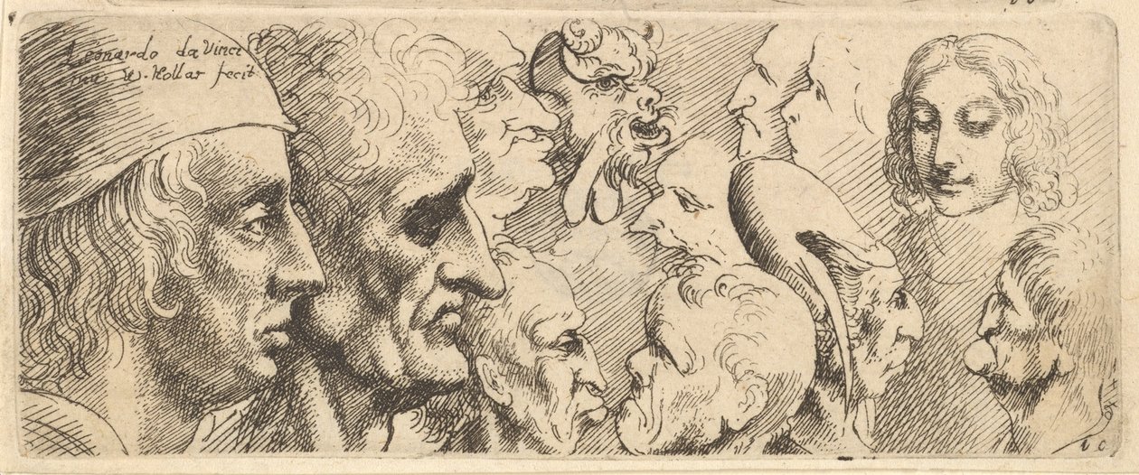 Varietà di teste, 1625-77 da Wenceslaus Hollar