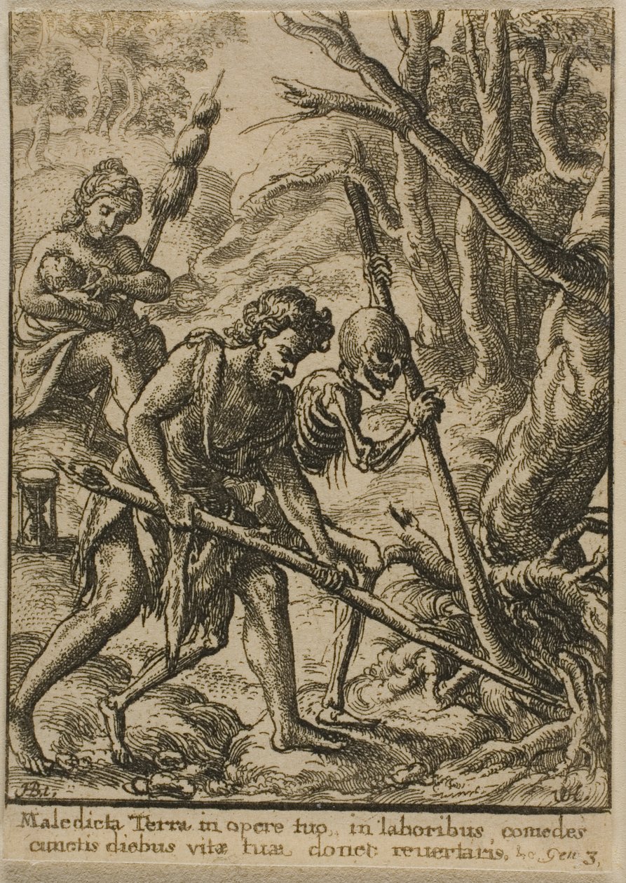 Adamo che ara da Wenceslaus Hollar