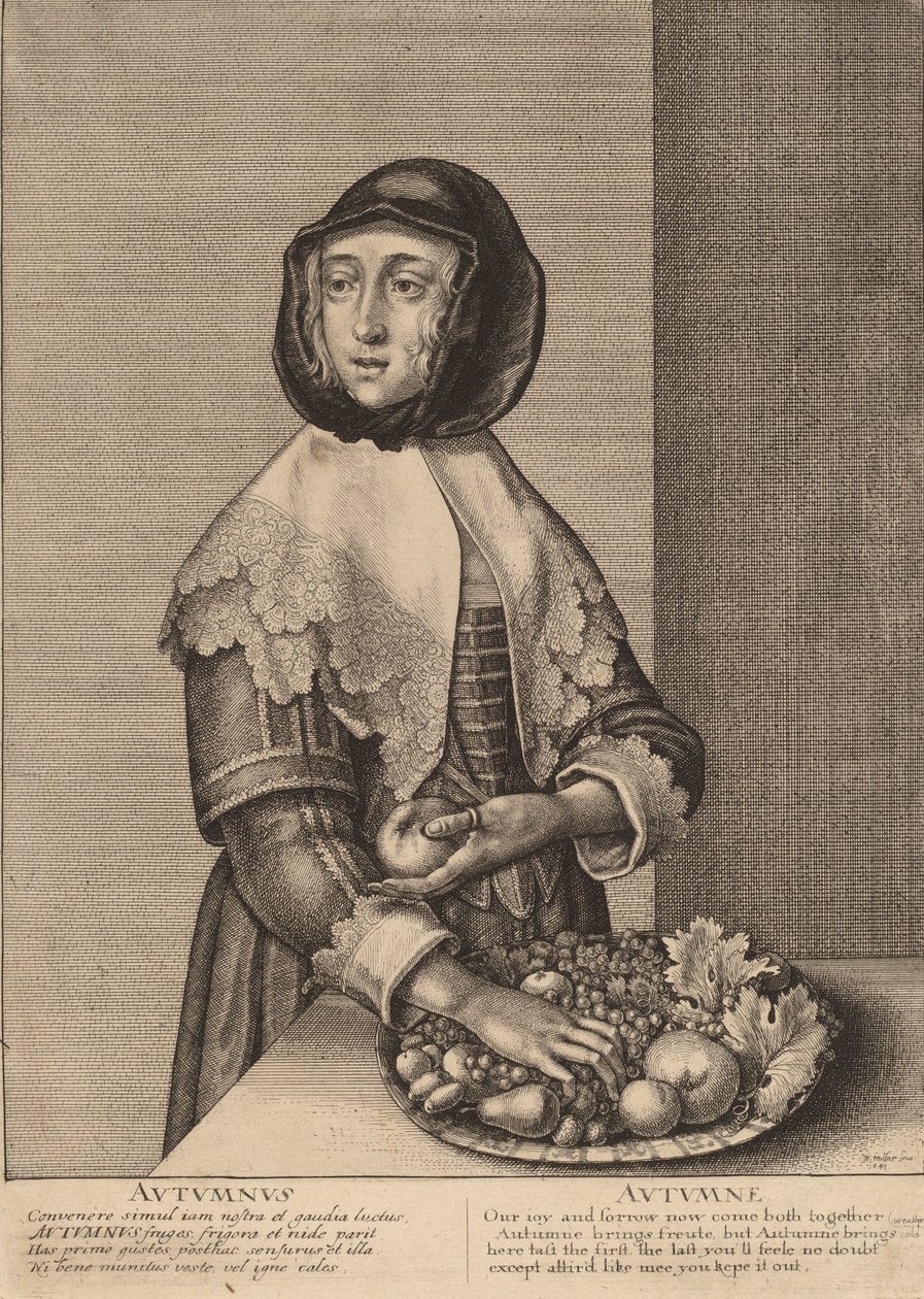 Autunno, 1641 da Wenceslaus Hollar