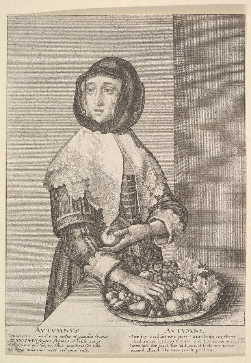 Autumnus - Autunno Tre quarti di lunghezza stagioni, 1641 da Wenceslaus Hollar