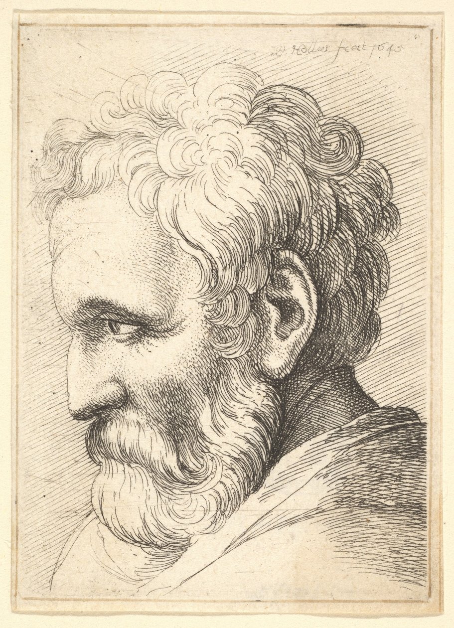 Vecchio barbuto, 1645 da Wenceslaus Hollar