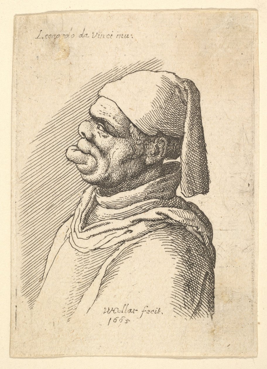 Busto di un uomo deforme con cappello e labbro inferiore grasso e sporgente di profilo a sinistra da Wenceslaus Hollar