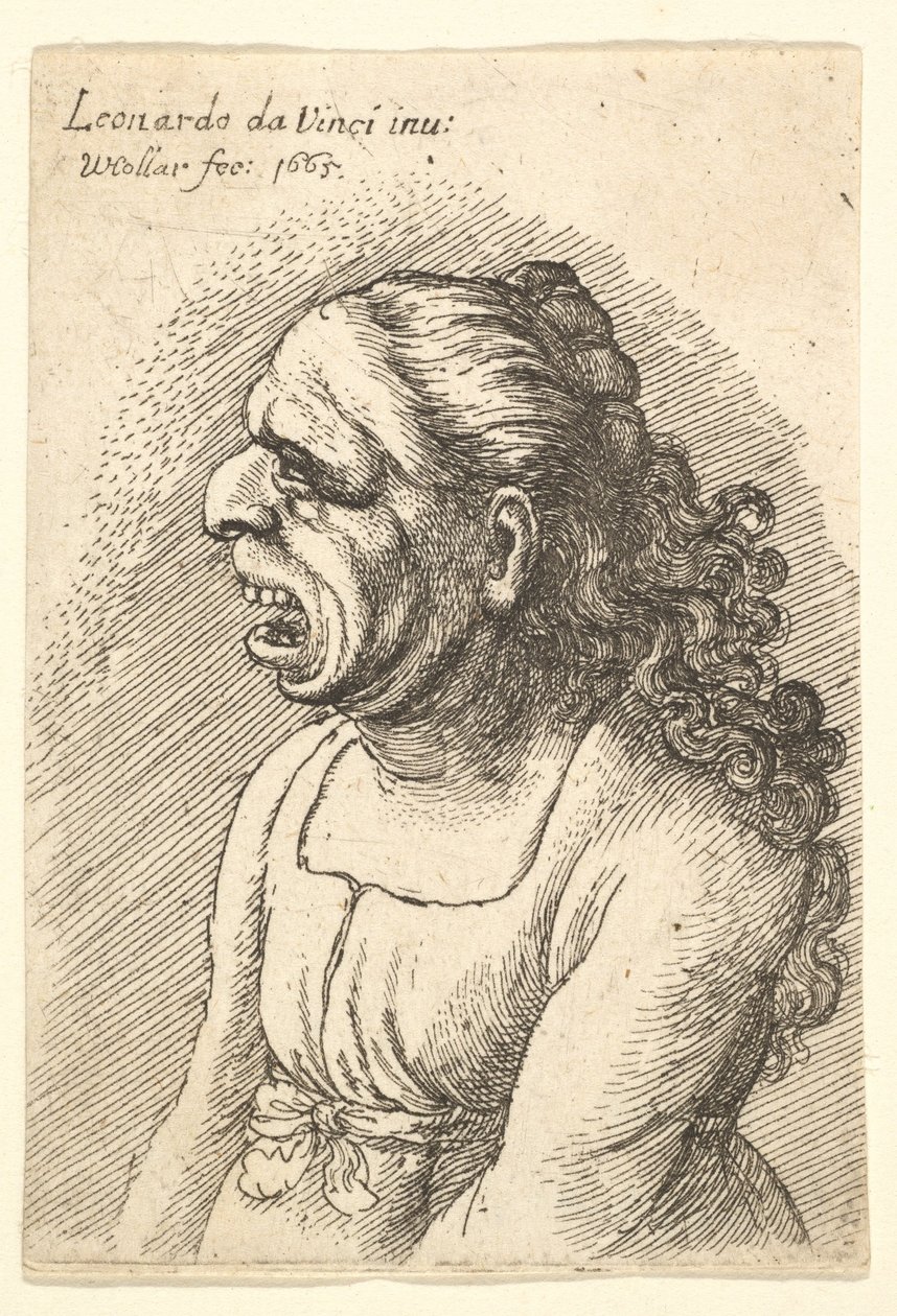 Busto di donna con bocca spalancata e lunghi capelli ricci che cadono sulle spalle, 1665 da Wenceslaus Hollar