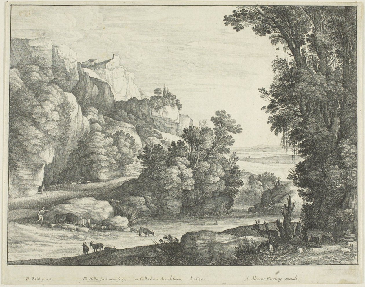 Bovini che bevono da Wenceslaus Hollar
