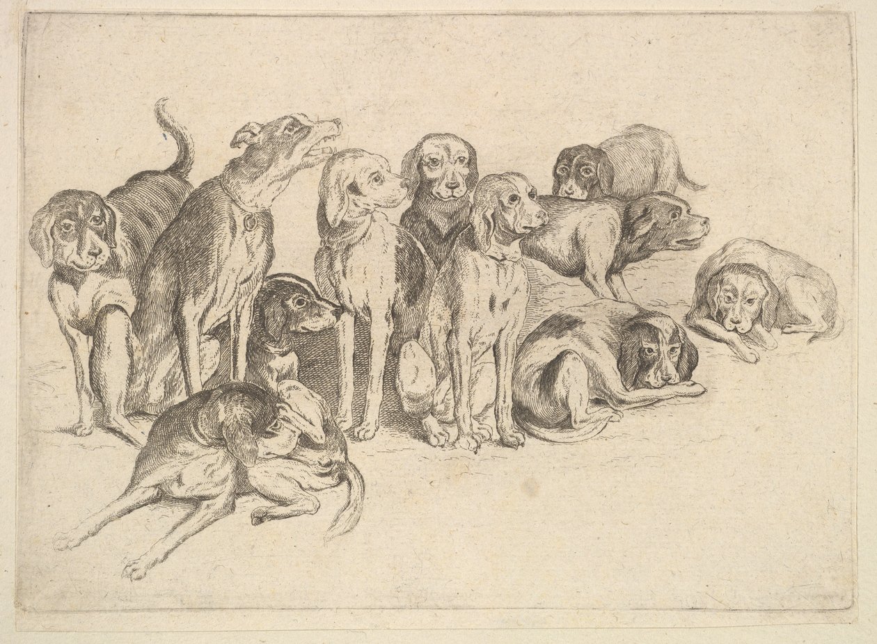 Undici cani da Wenceslaus Hollar