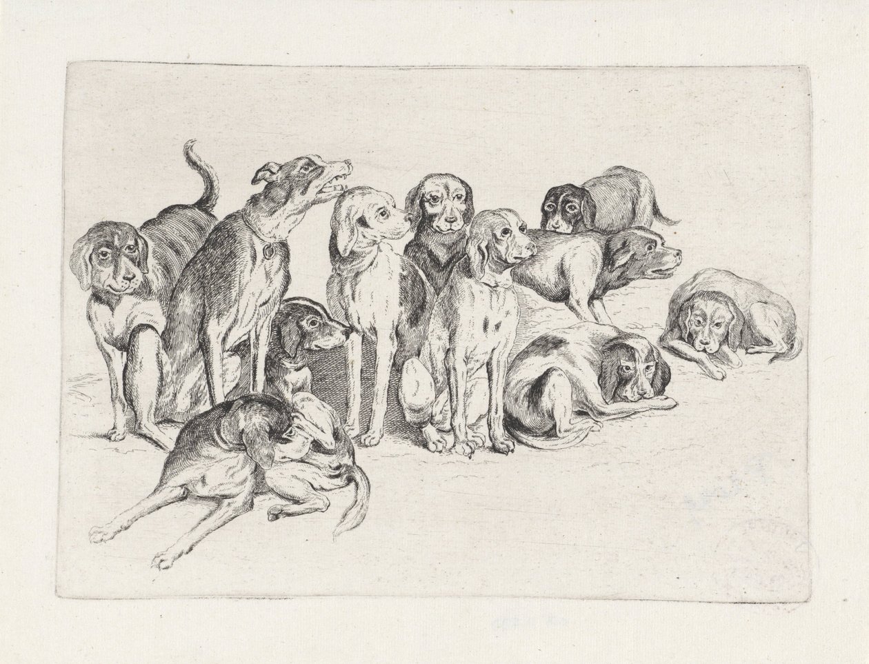 Undici cani da caccia da Wenceslaus Hollar