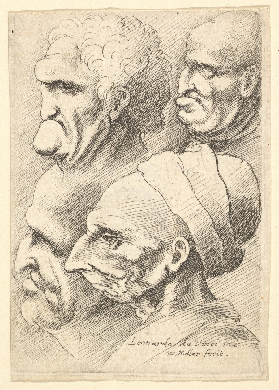 Quattro teste grottesche di profilo a sinistra da Wenceslaus Hollar