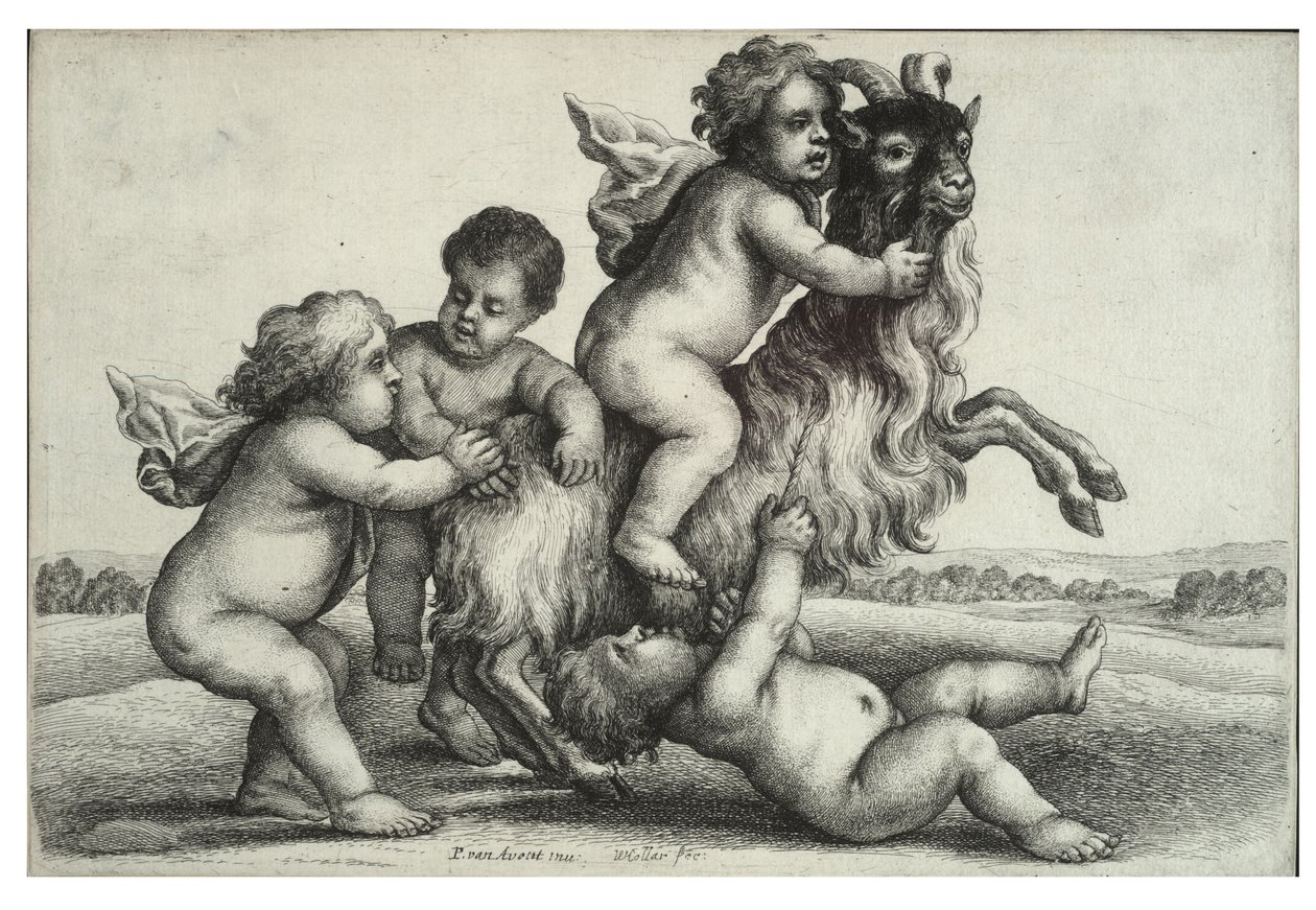 Quattro piccoli ragazzi e una capra da Wenceslaus Hollar
