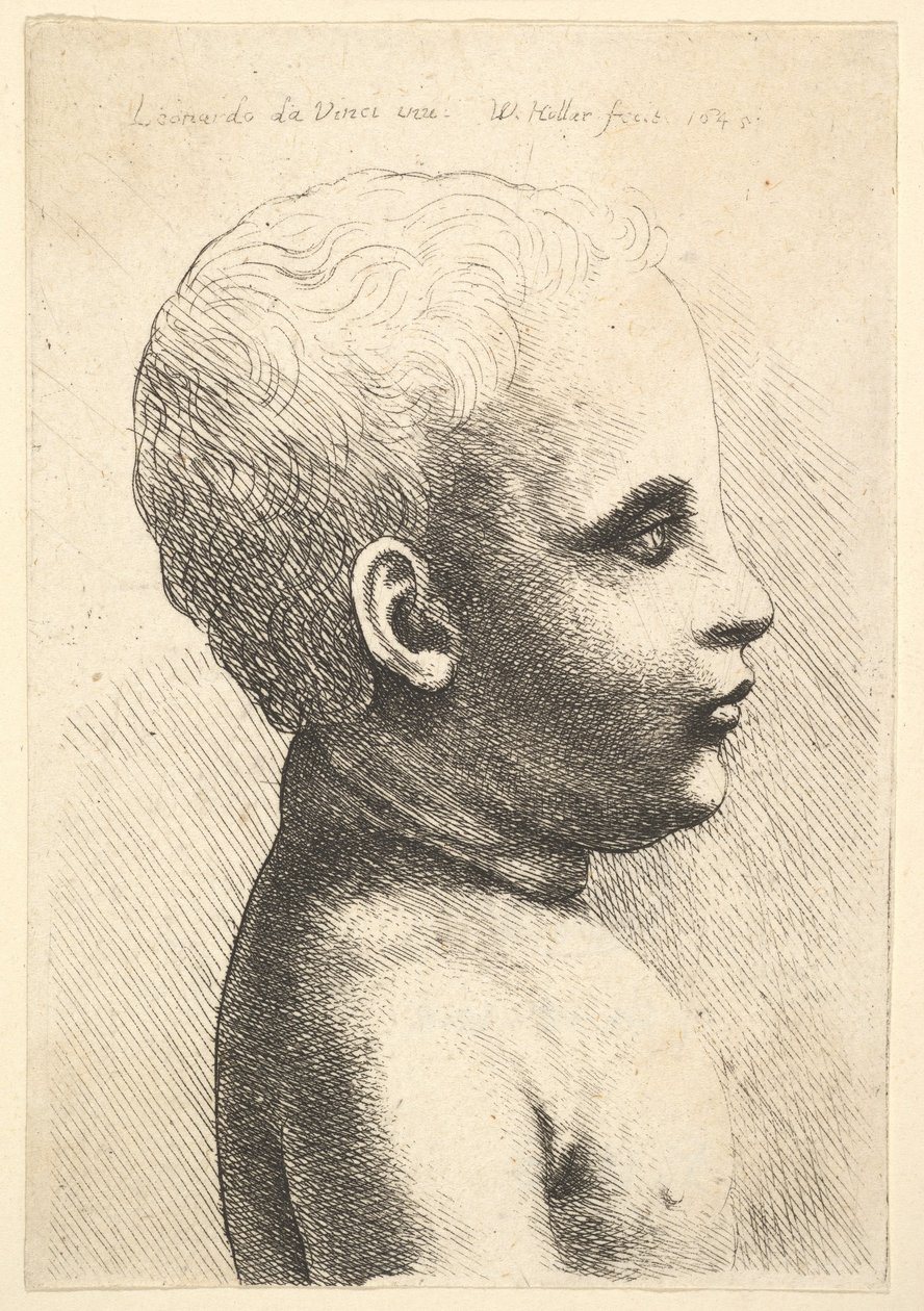Testa e spalle di un bambino, di profilo a destra, 1645 da Wenceslaus Hollar