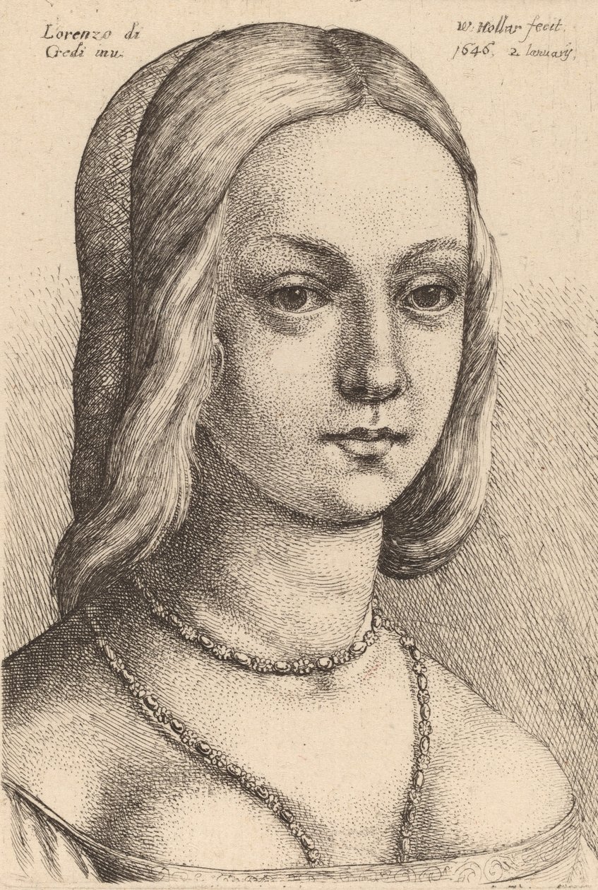 Testa di donna che guarda a destra da Wenceslaus Hollar