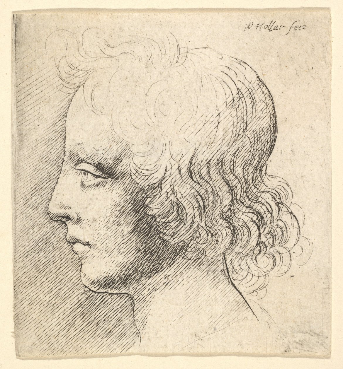 Testa di giovane uomo da Wenceslaus Hollar