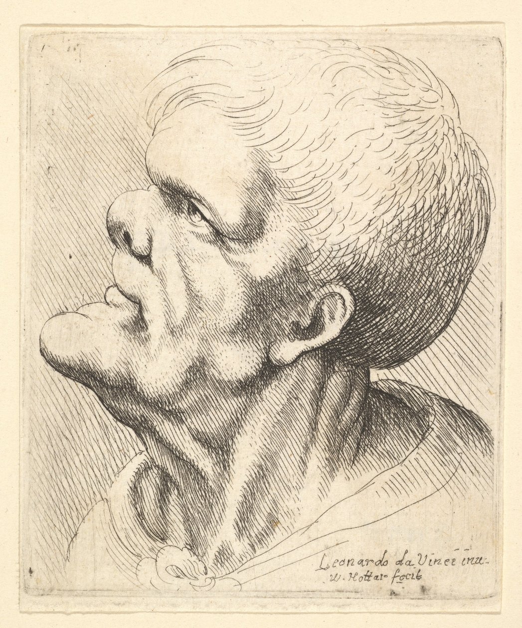 Testa di un uomo con mento sporgente e naso schiacciato che guarda in alto in profilo a sinistra, 1625-77 da Wenceslaus Hollar
