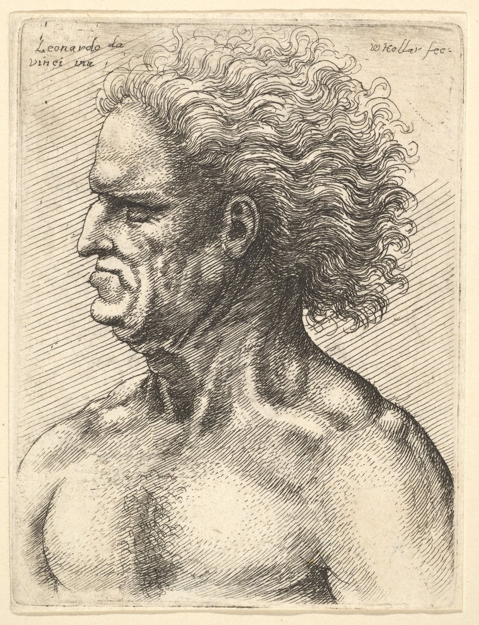 Testa di un vecchio muscoloso di profilo a sinistra con capelli fluenti da Wenceslaus Hollar