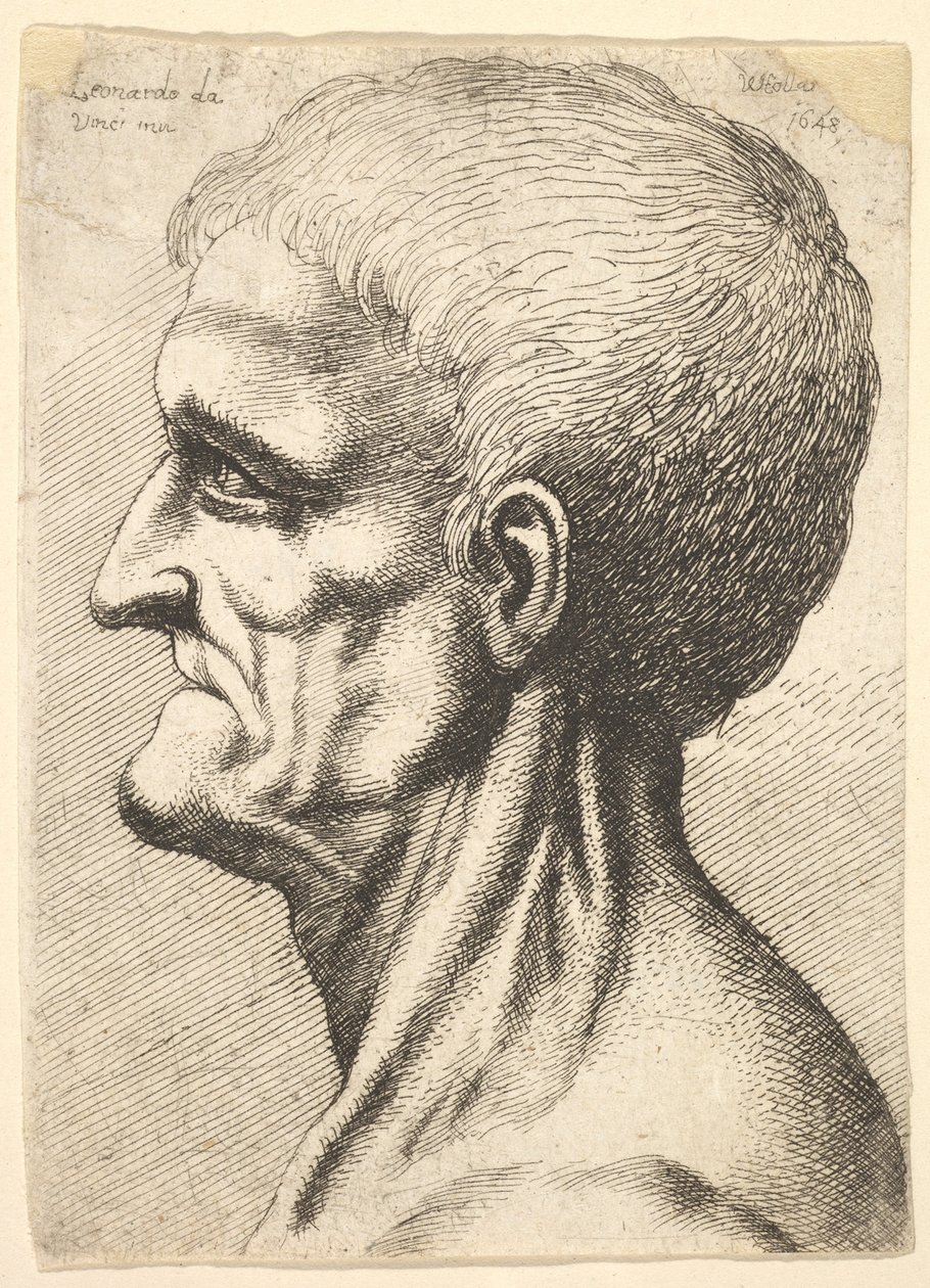 Testa di un uomo sdentato con collo muscoloso in profilo a sinistra, 1648 da Wenceslaus Hollar